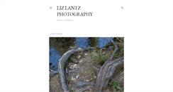 Desktop Screenshot of blog.lizlantz.com