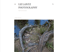 Tablet Screenshot of blog.lizlantz.com